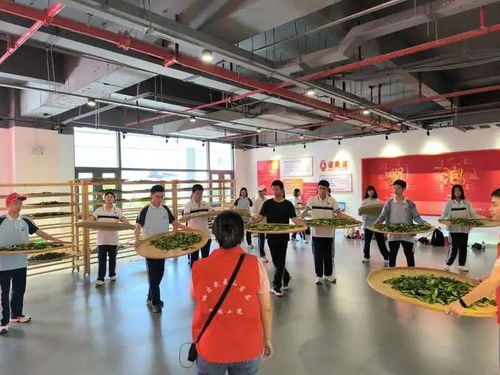 武夷星 科技助力茶產業發展,研學促進茶文化繼承