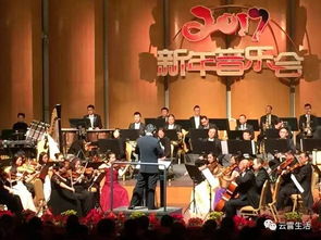 交響音樂藝術之花綻放在云霄——文化藝術交流新篇章