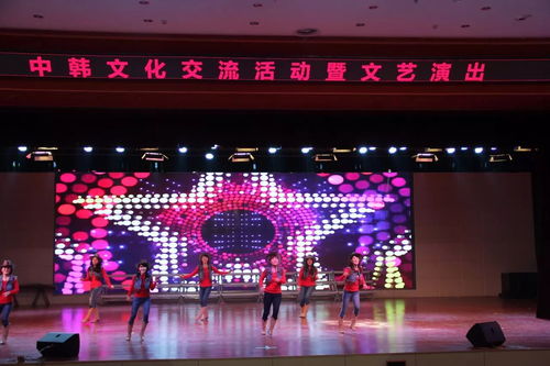 中韓文化交流活動暨文藝演出在市實驗小學成功舉辦